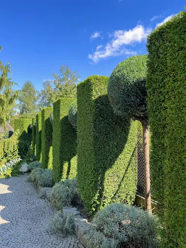 CLEAN GARDEN- kompleksowe usługi ogrodnicze